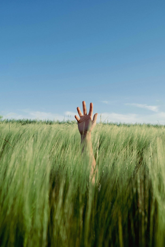 Hand harnessing energy